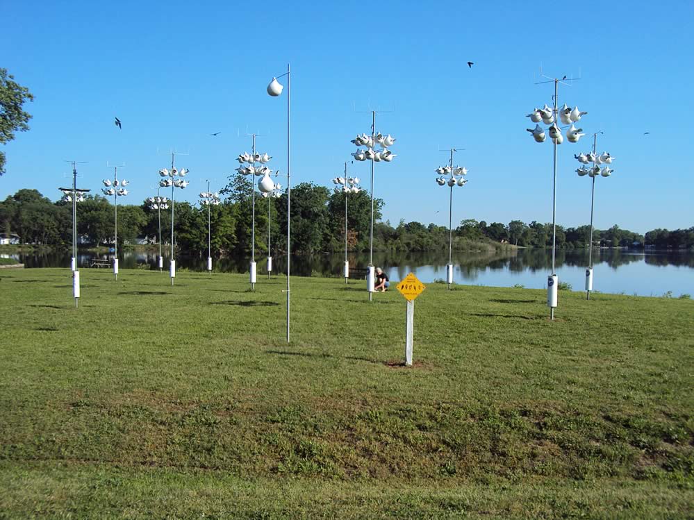 PLX Purple Martins Association