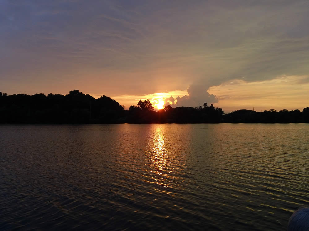 Purple-Martin-Twilight-Boat-Rides-4