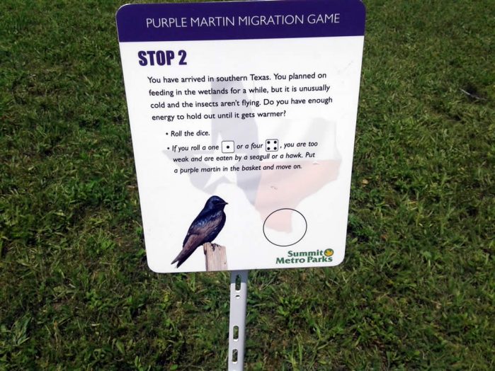 Purple Martin Obstacles 2
