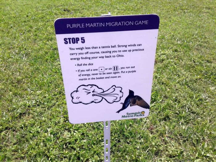 Purple Martin Obstacles 5