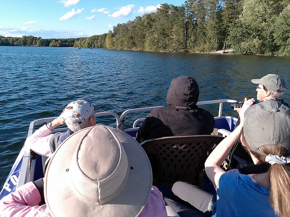 Purple Martins Twilight Boat Rides