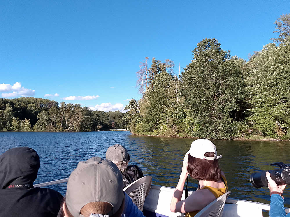 Purple Martins Twilight Boat Rides