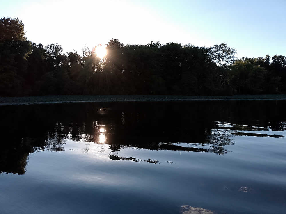 Purple Martins Twilight Boat Rides