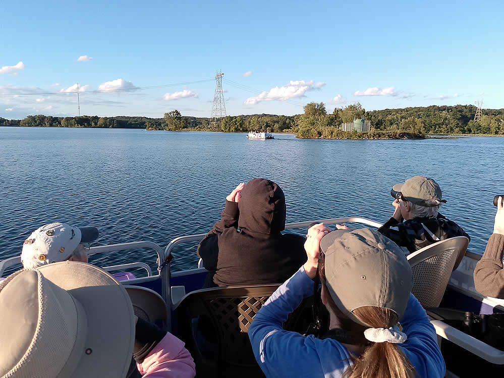 Purple Martins Twilight Boat Rides