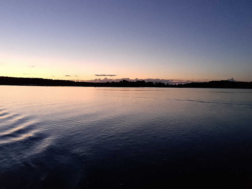 Purple Martins Twilight Boat Rides